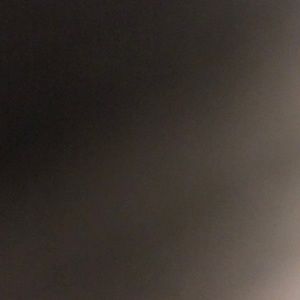 Meet your Posher, Randi